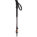 CAMP - Bastoncini BackCountry Pro 2.0