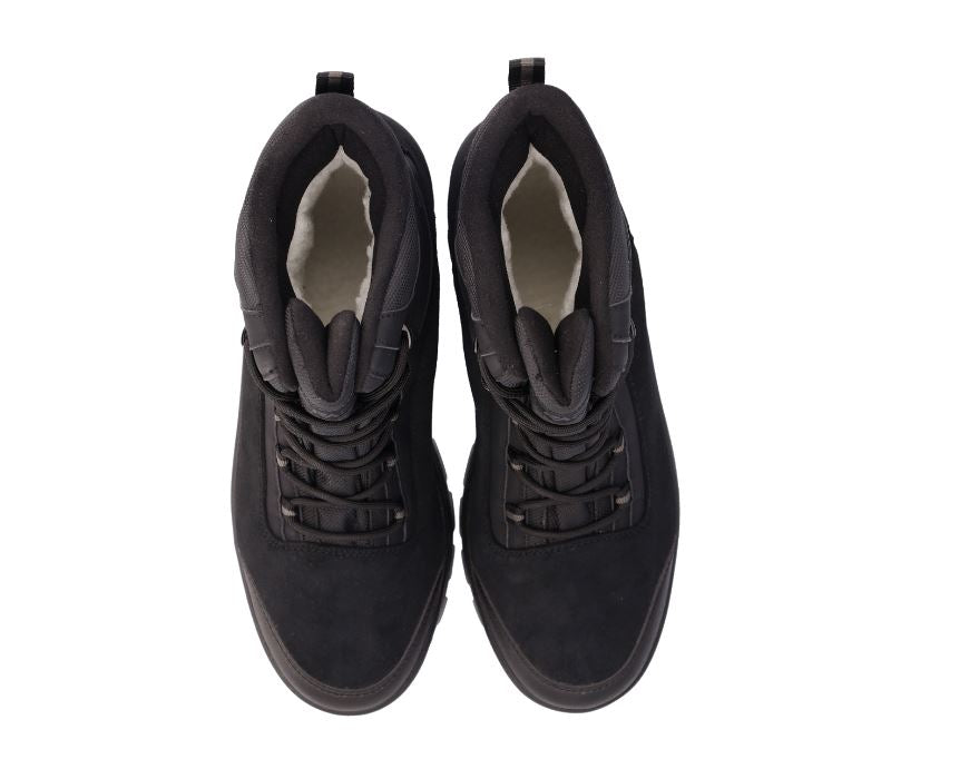 CMP - Doposci Nibuz WP